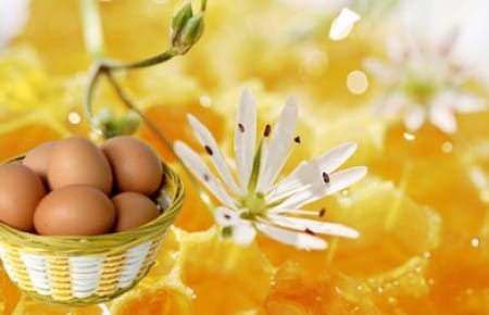 Маска для лица из меда и яйца: отзывы и рецепты